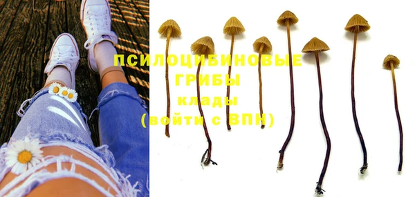 PSILOCYBIN Алзамай