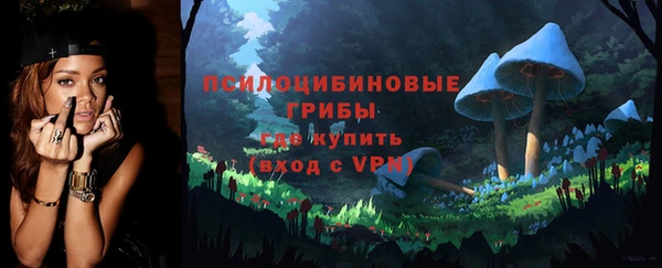 PSILOCYBIN Алзамай