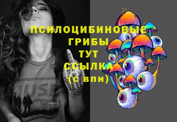 PSILOCYBIN Алзамай