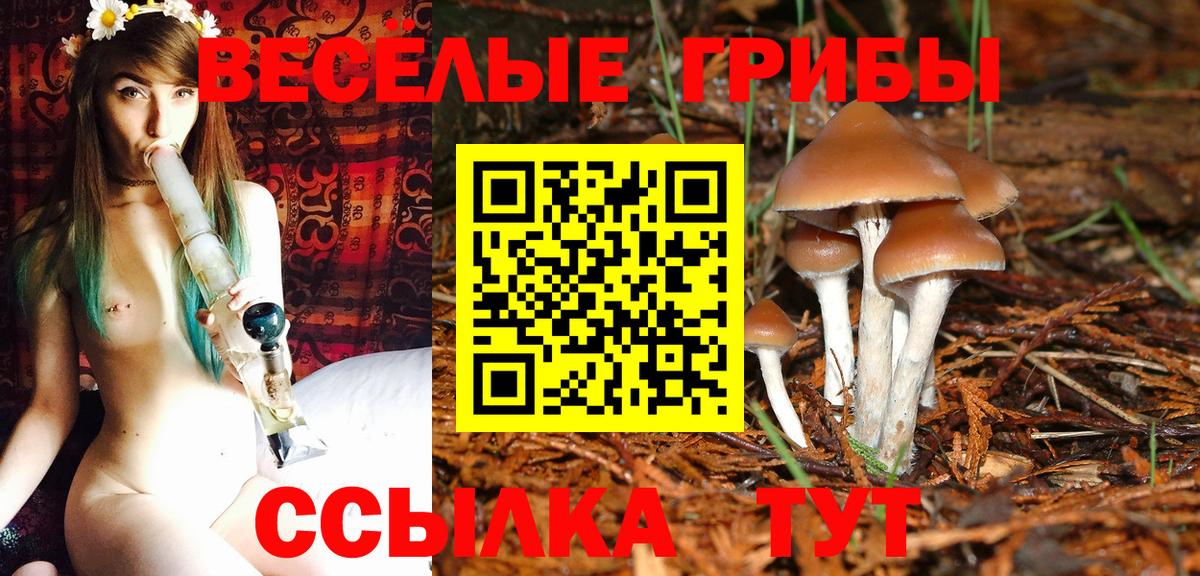 Псилоцибиновые грибы MAGIC MUSHROOMS  Вход с VPN  Ступино  Галлюциногенные грибы ЛСД 