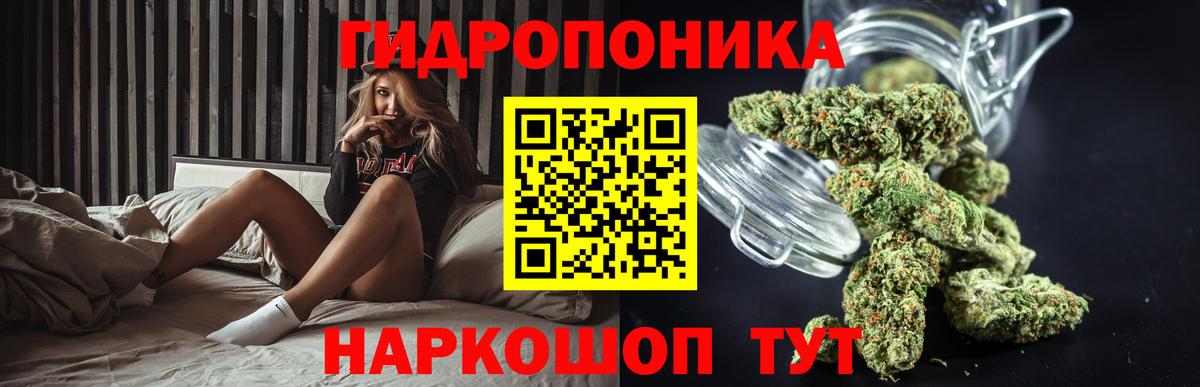 Бошки марихуана тримм  Вход с VPN  Бошки марихуана план  Ступино  Шишки марихуана план 